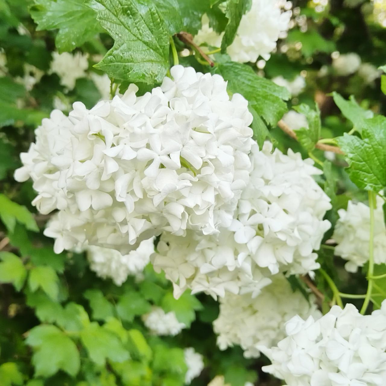 长跑11公里纪念今年的五一节。