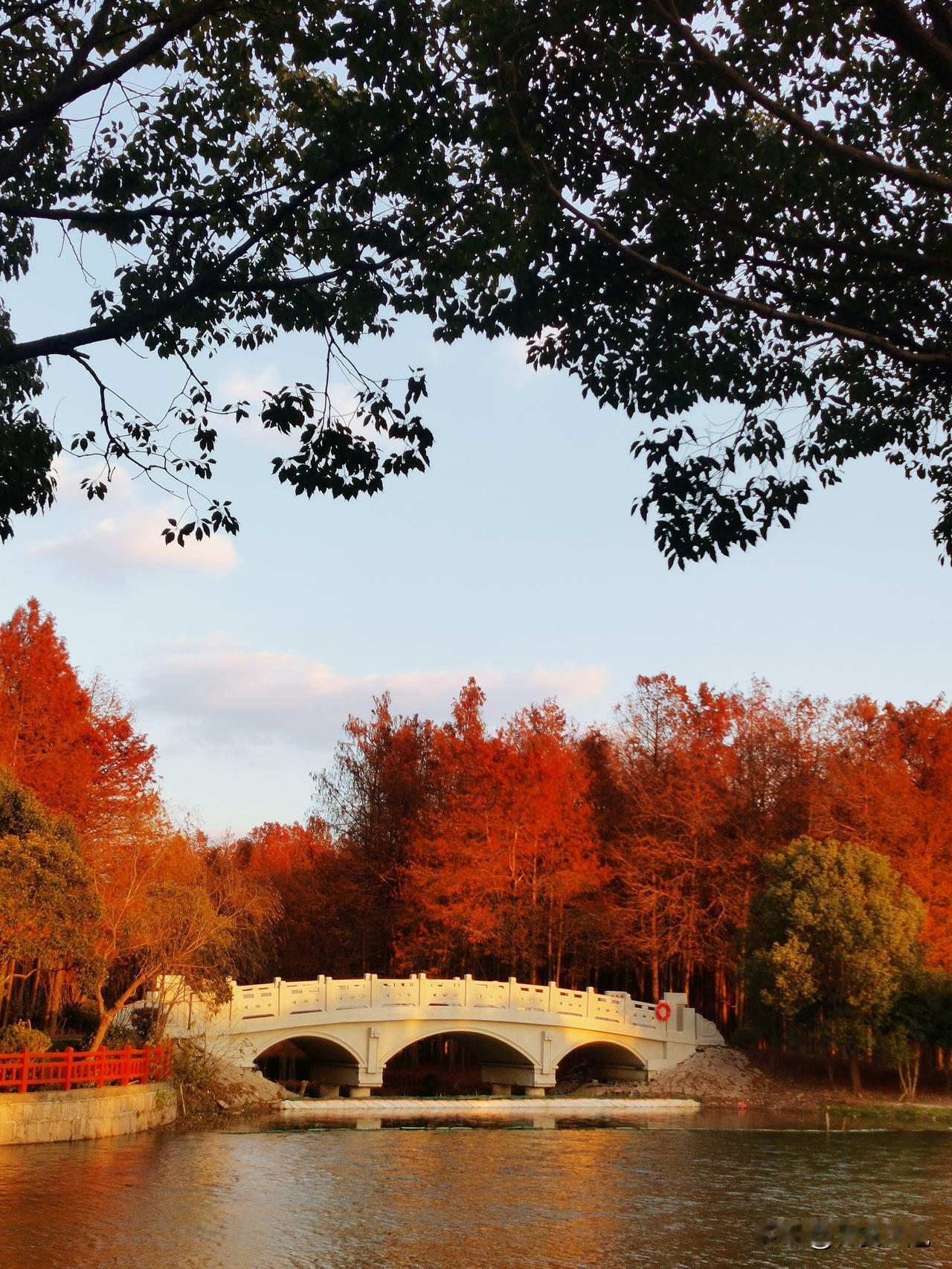 新年元旦刚开放的横沔公园，与早前已开的沔青公园，从地图上看，就像张江科学之门的两