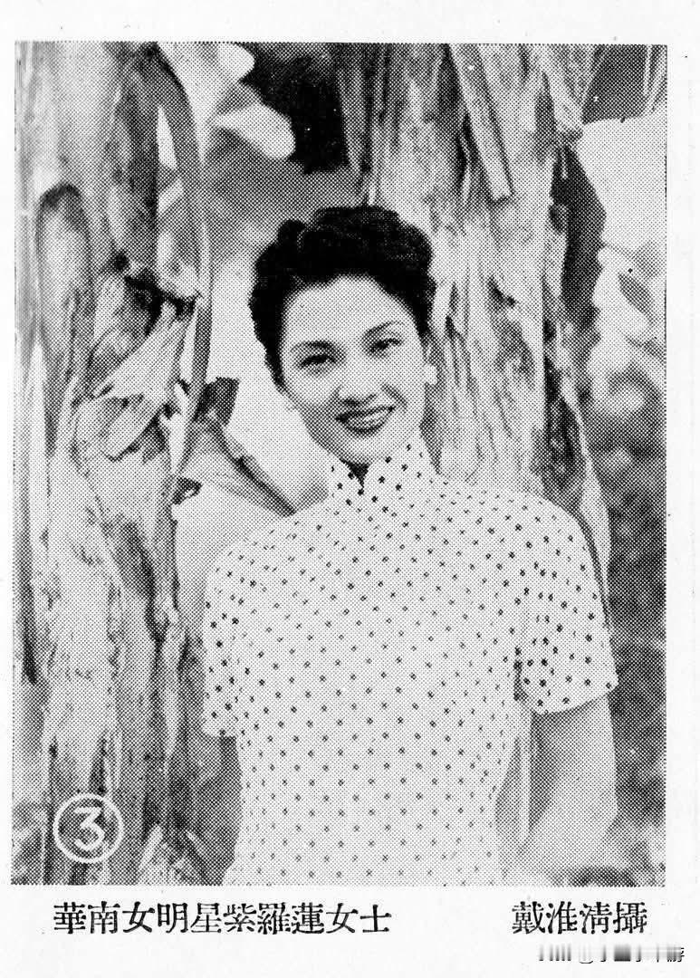 紫罗莲的故事
 
1924年的广州，珠江水汽弥漫，粤剧的锣鼓声从戏园里飘出，回荡