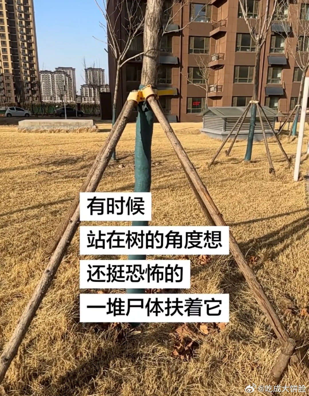 换位思考一下，确实很恐怖…… 