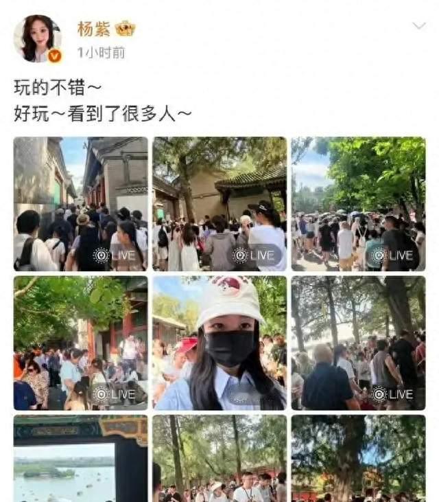 不演了，获白玉兰视后仅1月，杨紫因一举动败光路人缘，官媒怒批
