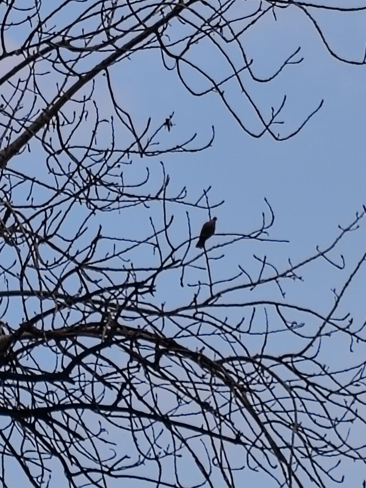 千言万语，归根结底就是挣得少。甭管工资增长是不是呈线性缓坡，要是把基数定成月薪十