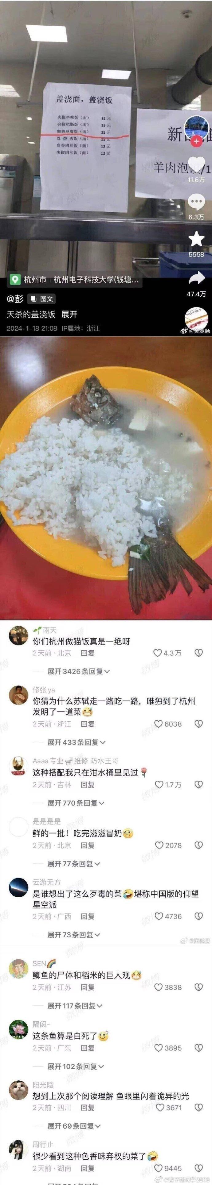 做猫饭真有一手 ​​​