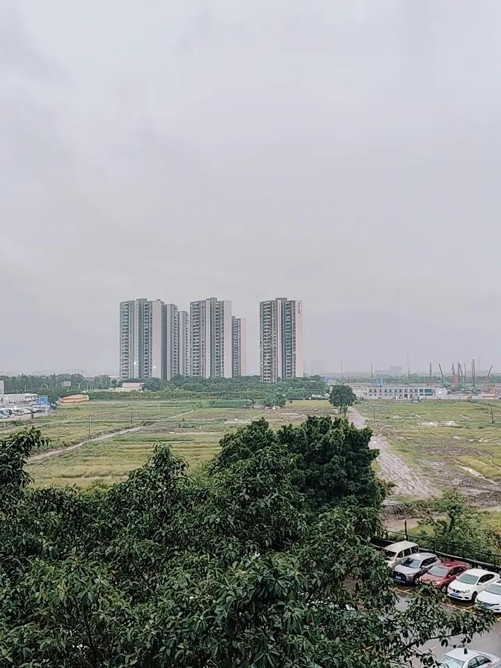 晒图笔记大赛台风天，雨一直下不停，这风吹得人感觉好冷哟！今年的台风还真多……