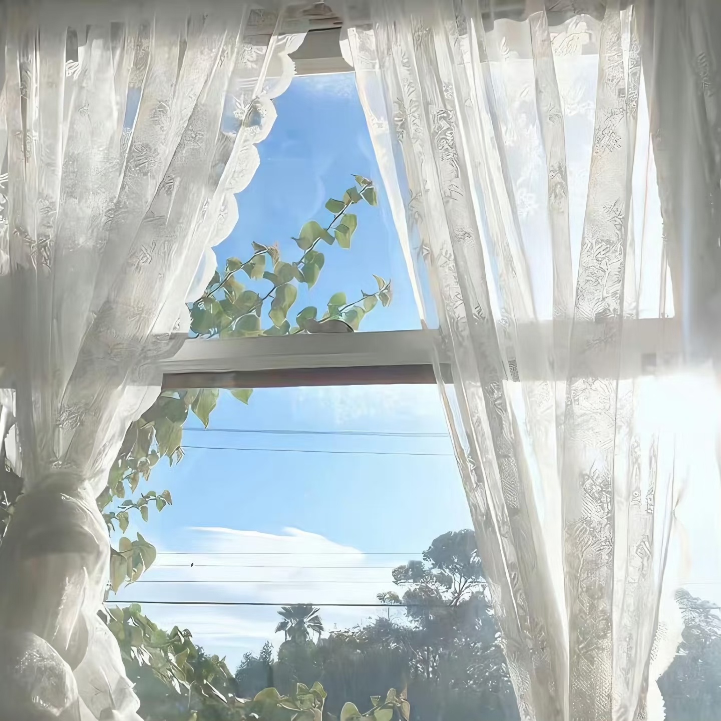 0000𝑾𝒆𝑪𝒉𝒂𝒕｜朋友圈背景图｜素材图无水印🍃🌷一万个冬天以