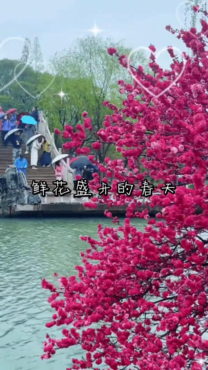 鲜花盛开的春天。