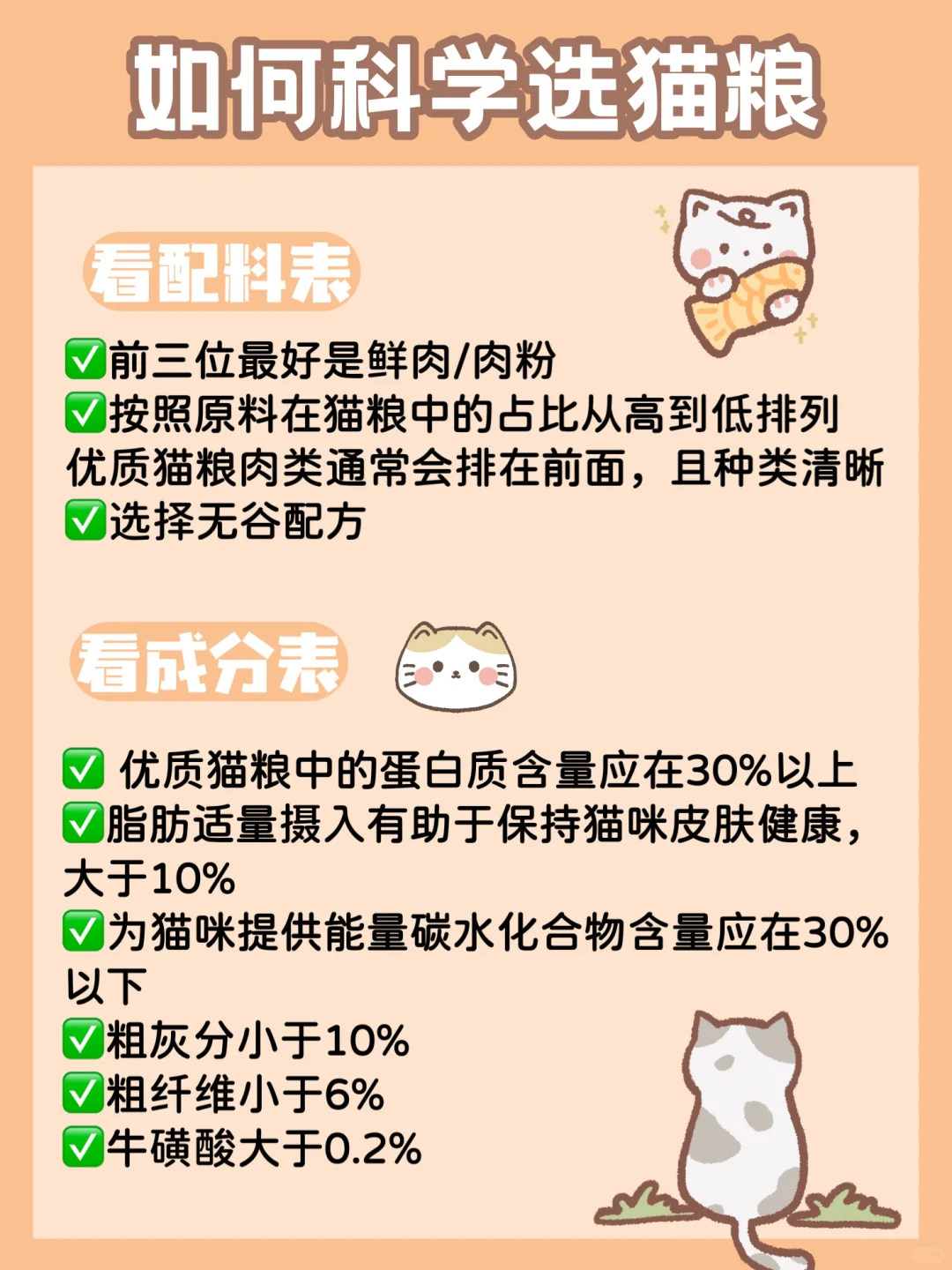 真实猫粮测评✅教你选对猫粮+喂养攻略