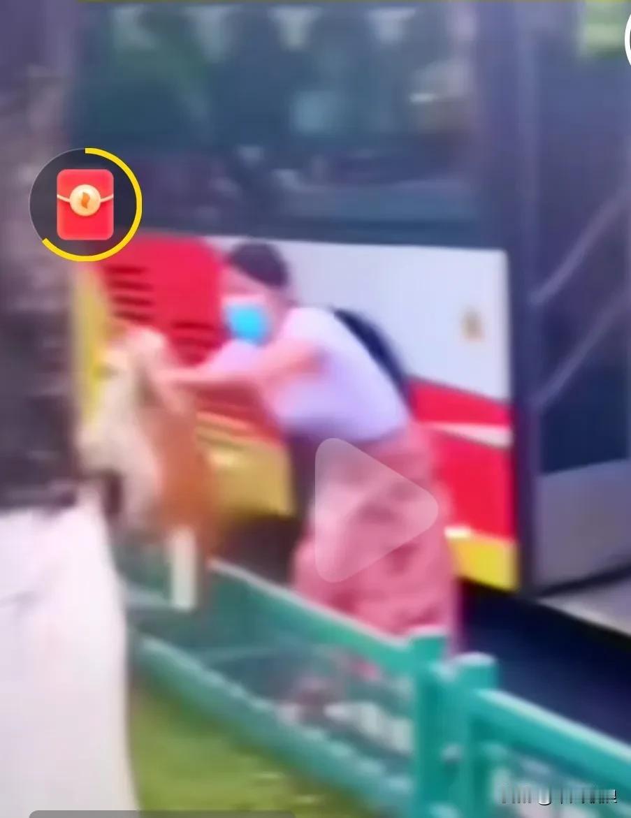 柯基犬主人抱上公交车时满心欢喜，还以为带它出逗风，没想到坐了一段路时把它丢弃马路