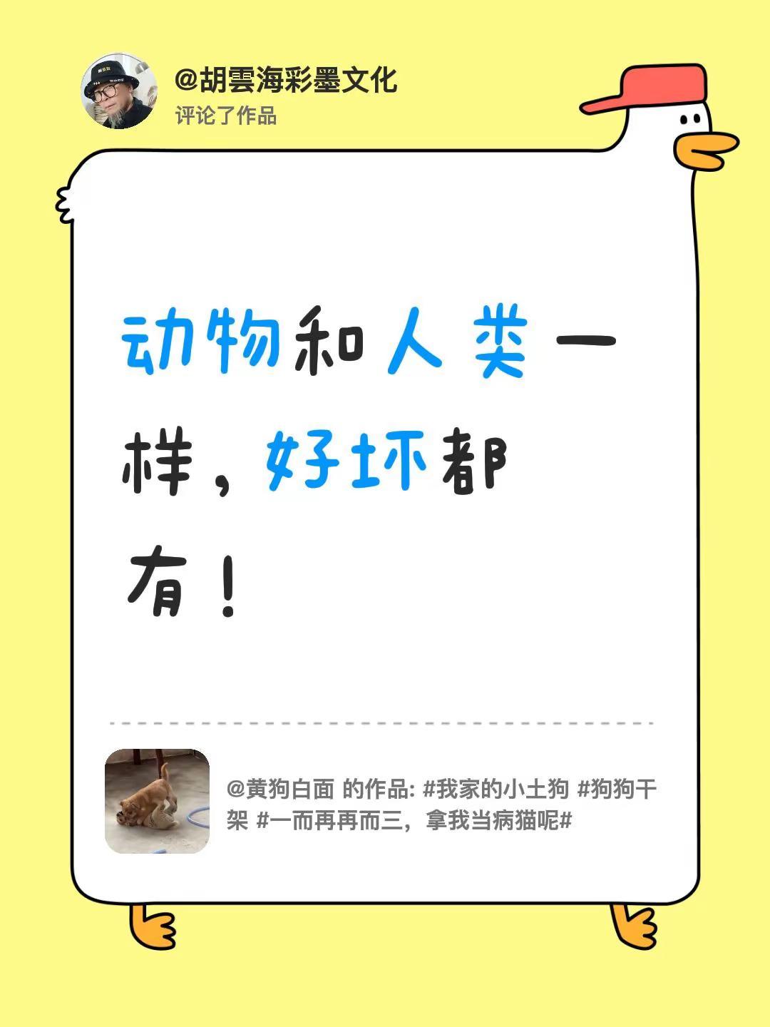 人和动物无区别。我评论了@黄狗白面 的作品：动物和人类一样，好坏都有！