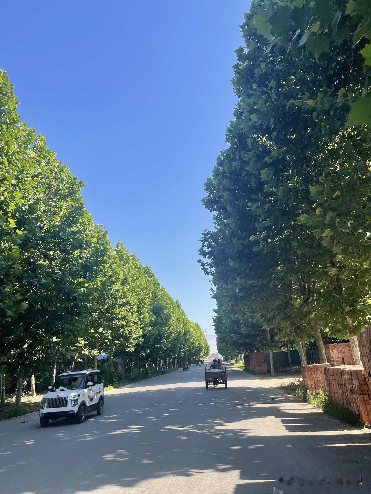 今天早上赶集去取快递了，转了几圈还是有两个没取回来。

一共八个快递，一个地方取