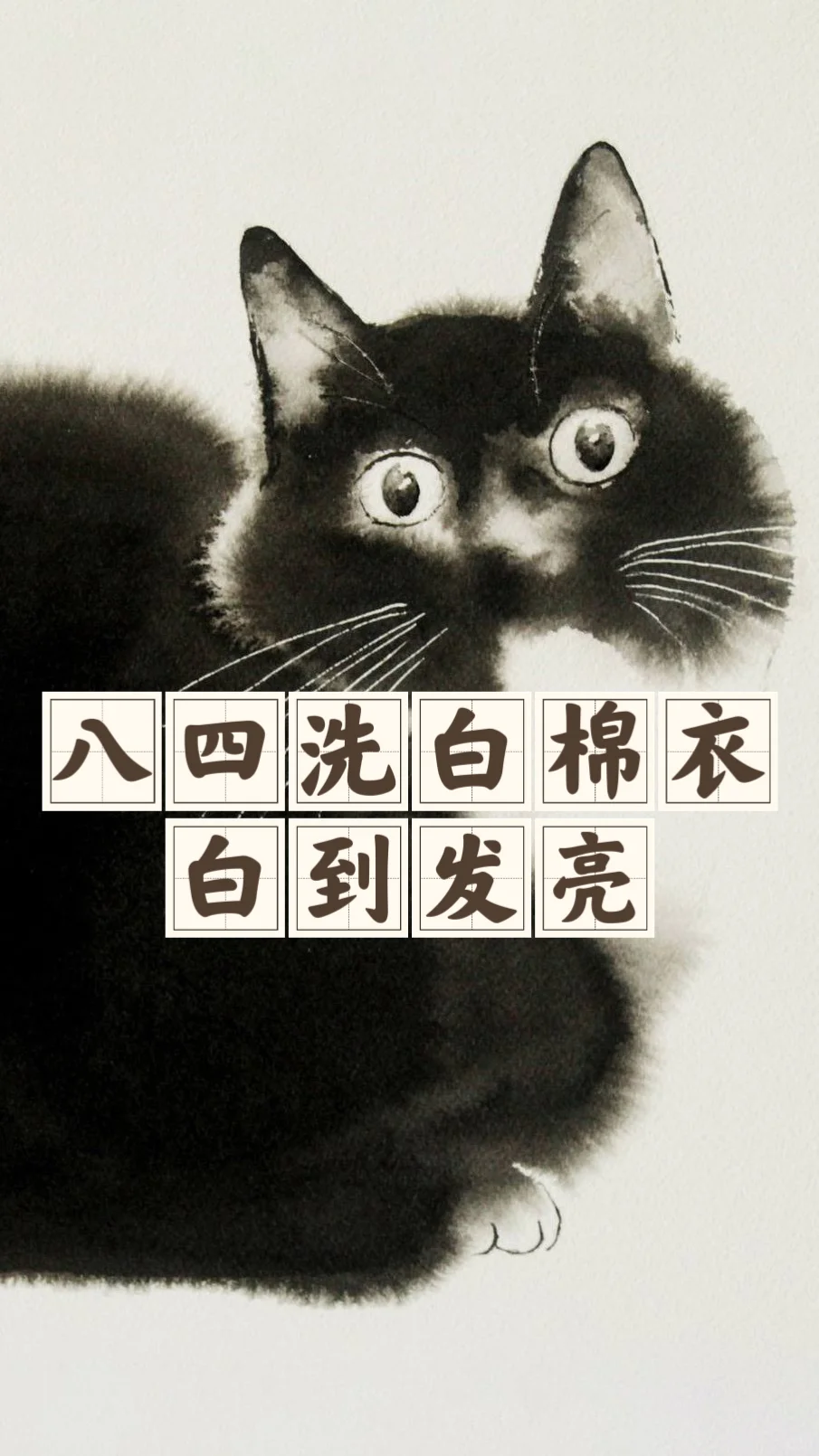 省钱经553:洗白衣服的神，84消毒液