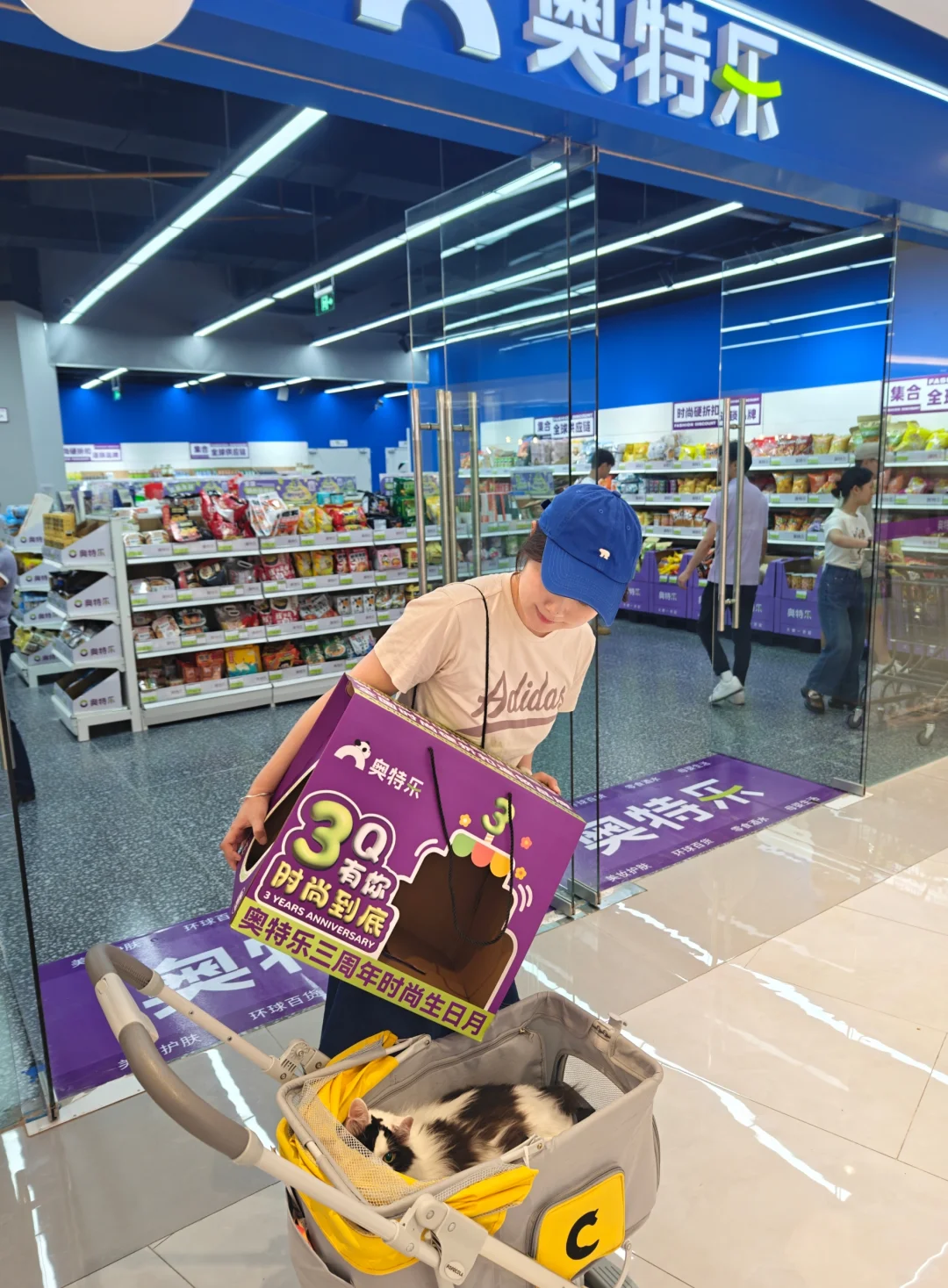 昆明！铲屎官快来领免费猫窝啦～