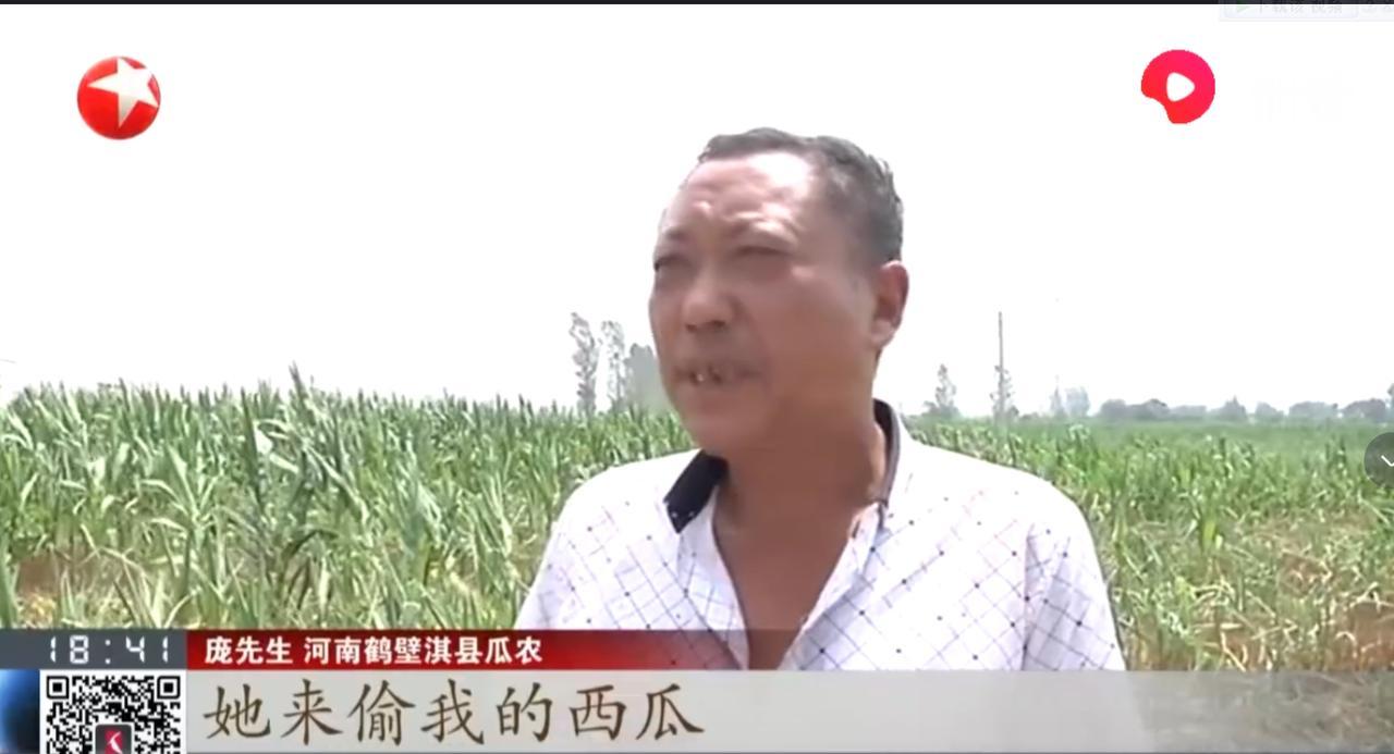 “瓜农抓偷瓜者被令倒赔三百？”2019年，河南一女子带着女儿在瓜田里偷了9个西瓜