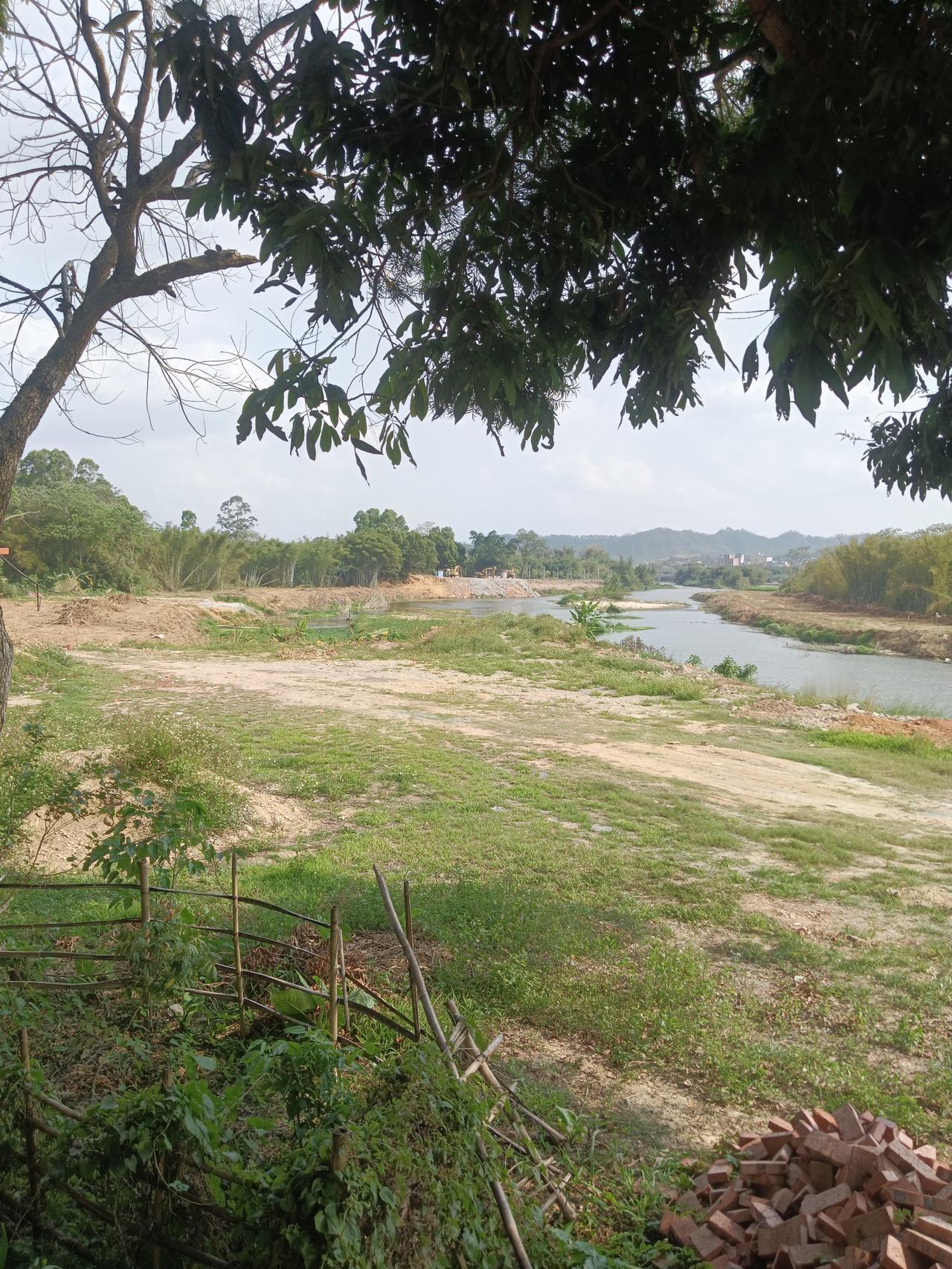 时光慢渡

 □ 周兴华

时间煮成细雨
岁月缝作繁花
光阴渐行渐远
心守一份清