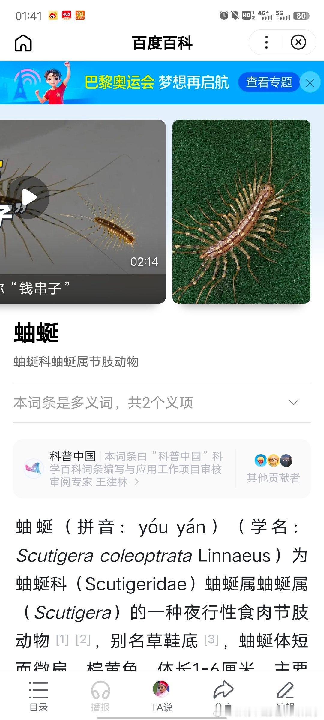不是大哥泥半夜掉我脸上真的很过分啊，前年是蟑螂，去年马陆，每年掉我脸上的都不重样