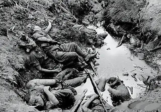 1947年6月7日，麦克阿瑟的部下向华盛顿报告，日本731部队虽然也对在沈阳俘虏