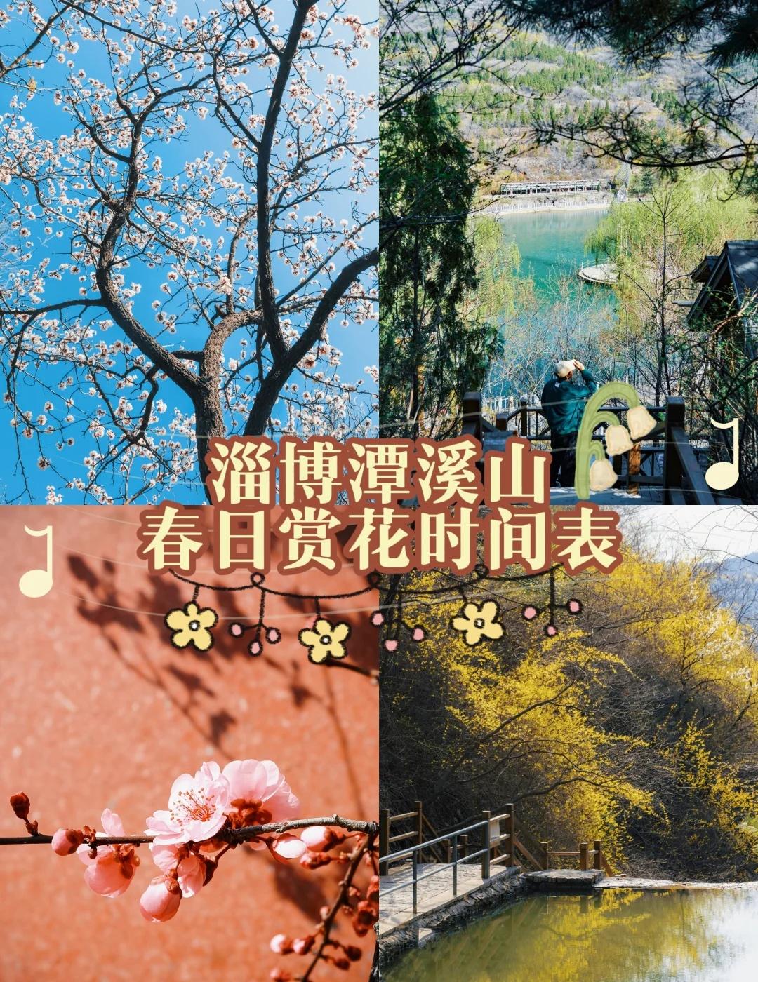 潭溪山赏花时间表🌸赴一场山野花海盛宴
🧩等风来，不如追风去！
春天的潭溪山，