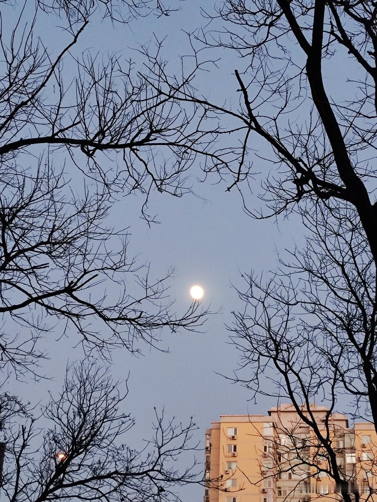 演讲每分钟的最佳字数通常为 200-220字，这是兼顾表达清晰、听众理解和情感传