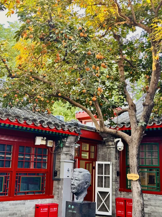 北京封神级的秋天要来啦😎18个赏秋宝地🗺️