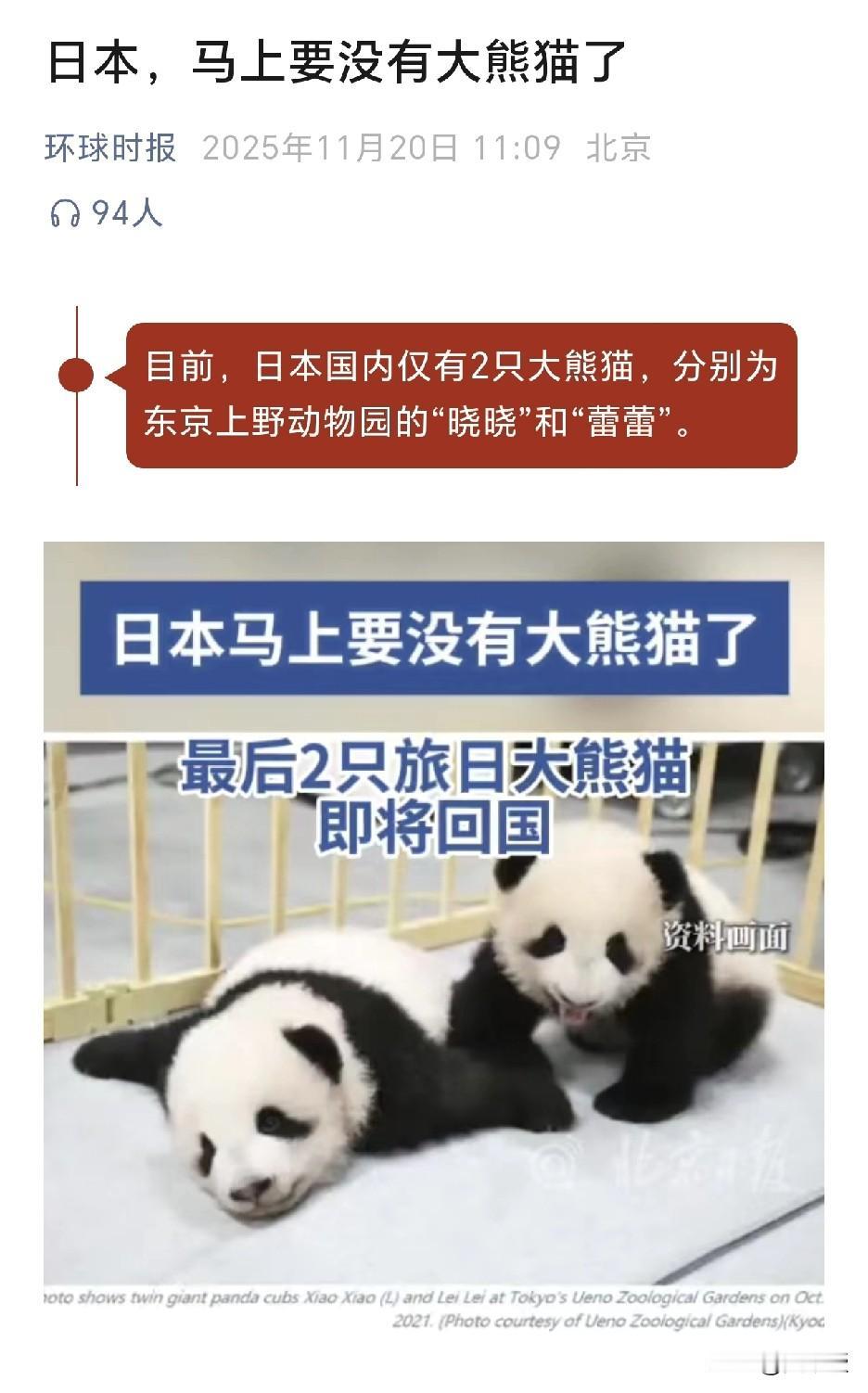 环球时报
日本，马上要没有大熊猫了