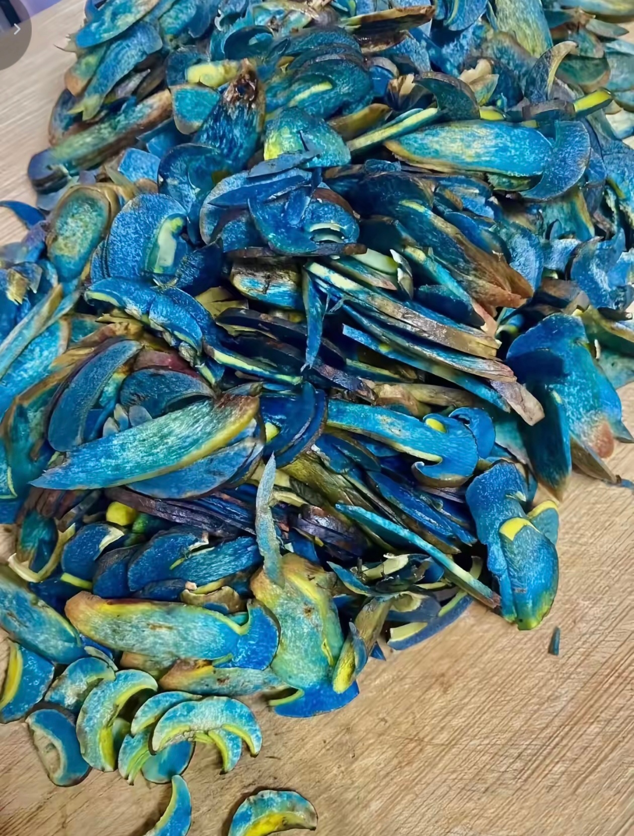 夫妻同吃见手青丈夫以为妻子是蛇虽然看到这个新闻忍不住笑了，但是还是要提醒广大网友