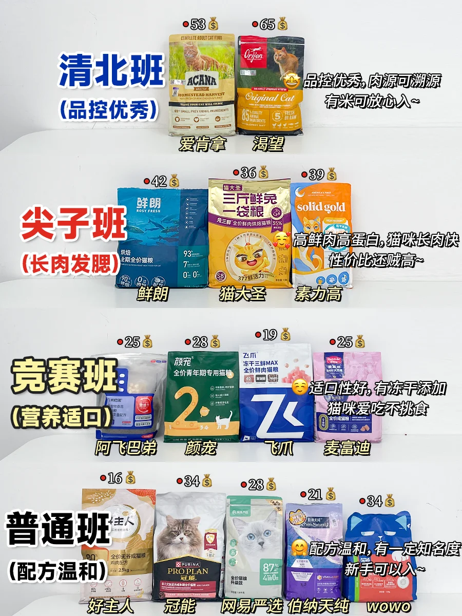 斯到普！来报恩的高性价比猫粮都在这了！！