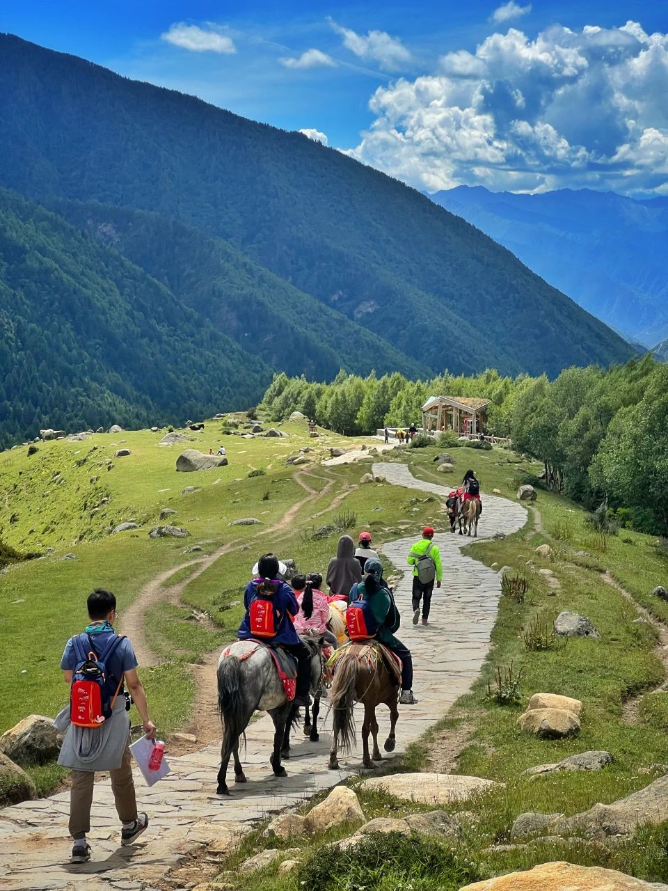 朋友圈问疯了，都以为我带娃出国了