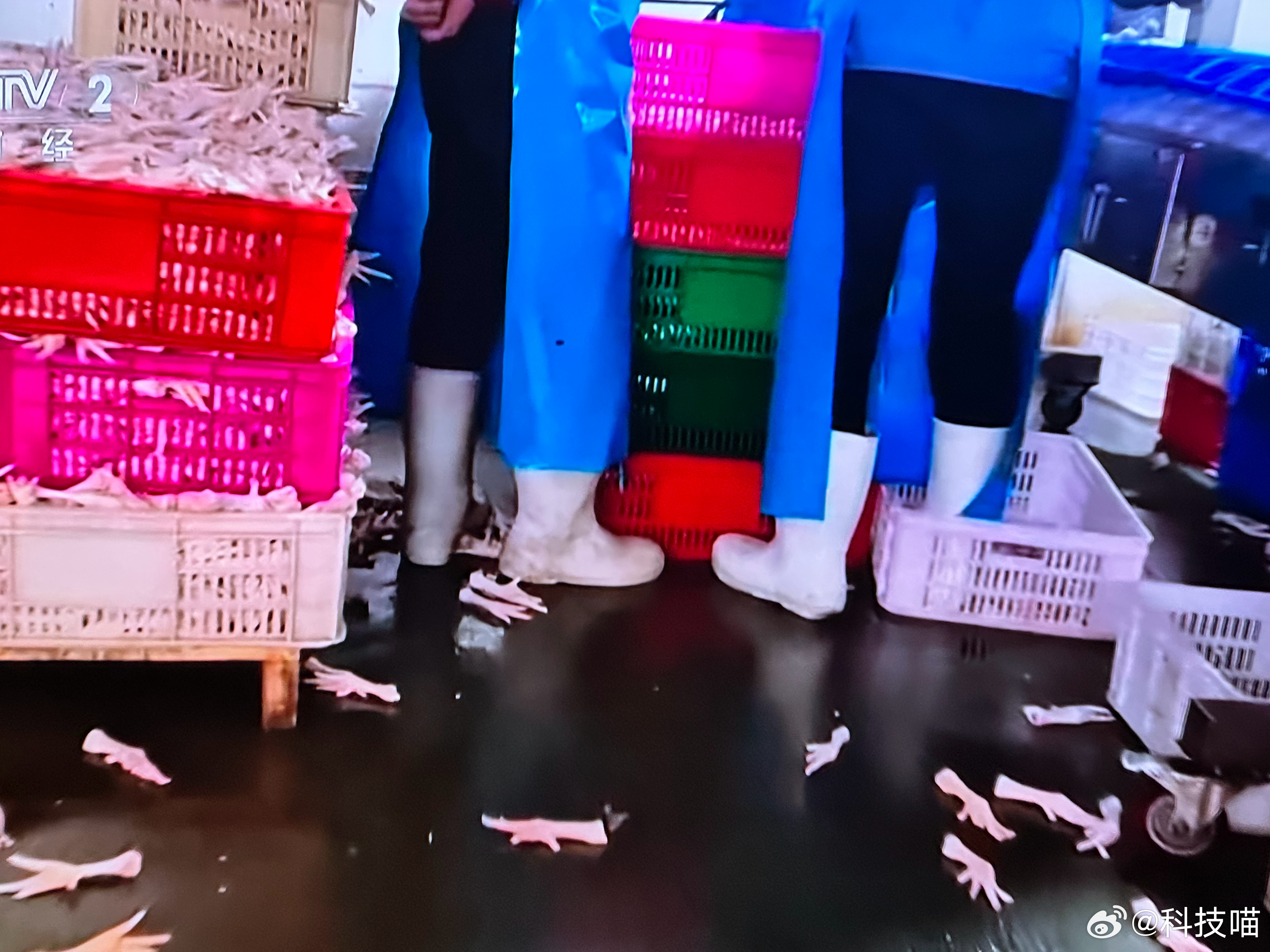 315晚会315晚会曝光了漂白鸡爪，原来是双氧水鸡爪，用双氧水浸泡后就变得很白。