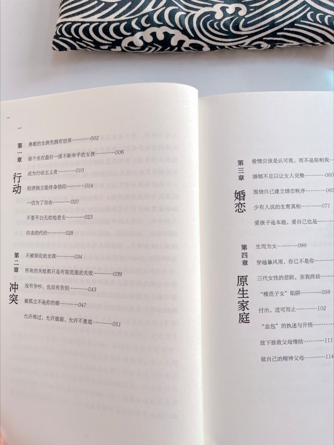 勇敢的女孩先拥有世界：女孩的破茧成蝶秘籍 