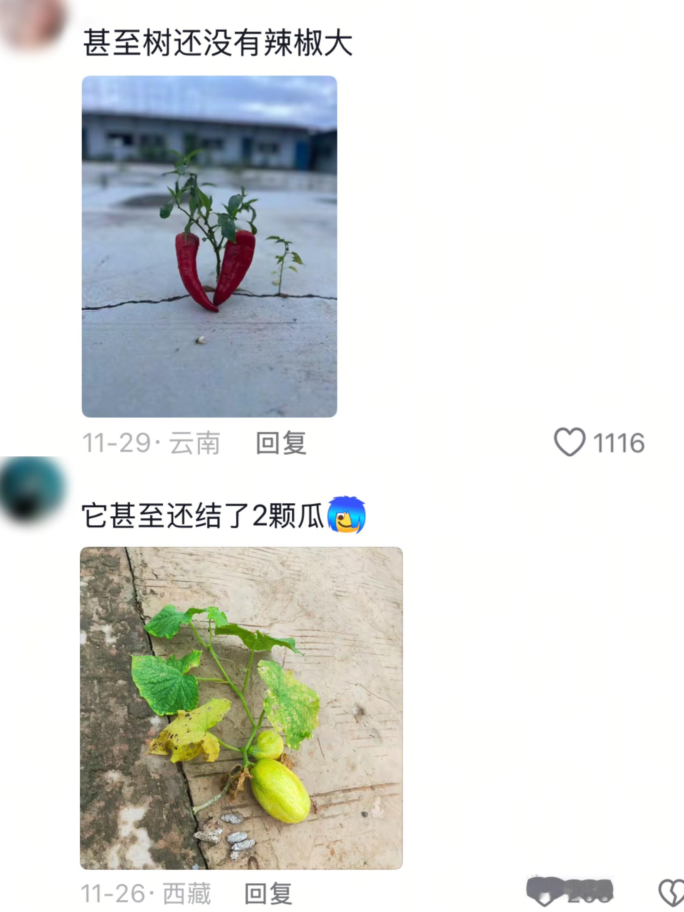 生命自会寻找出路 