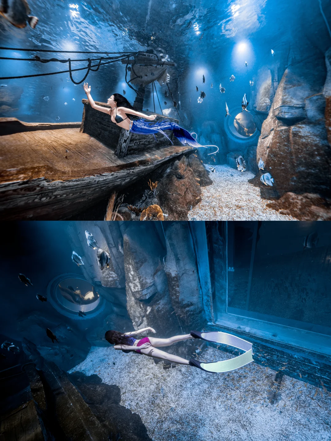 临沂海洋王国打卡！水下沂蒙颂太绝了