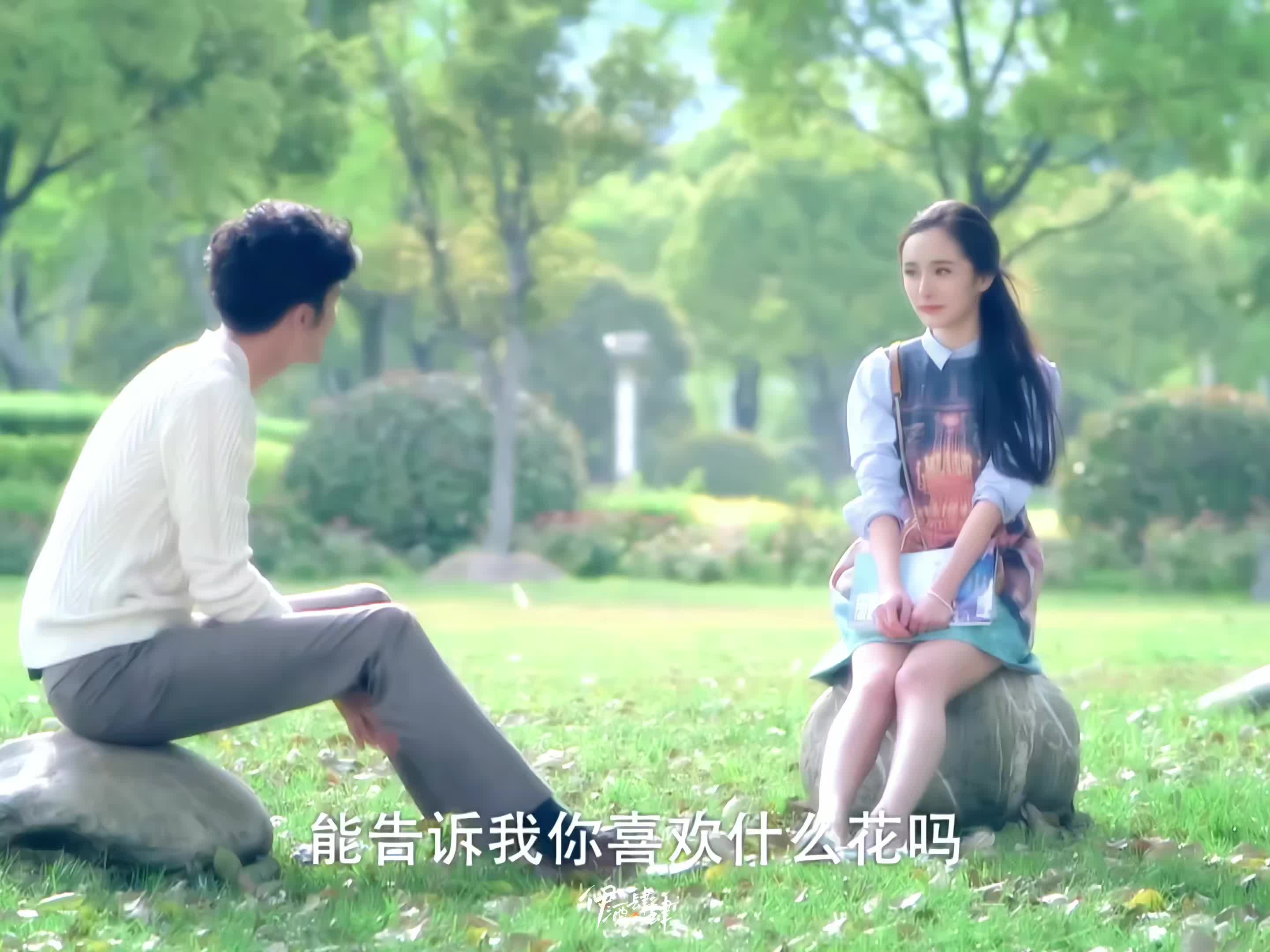 洛依