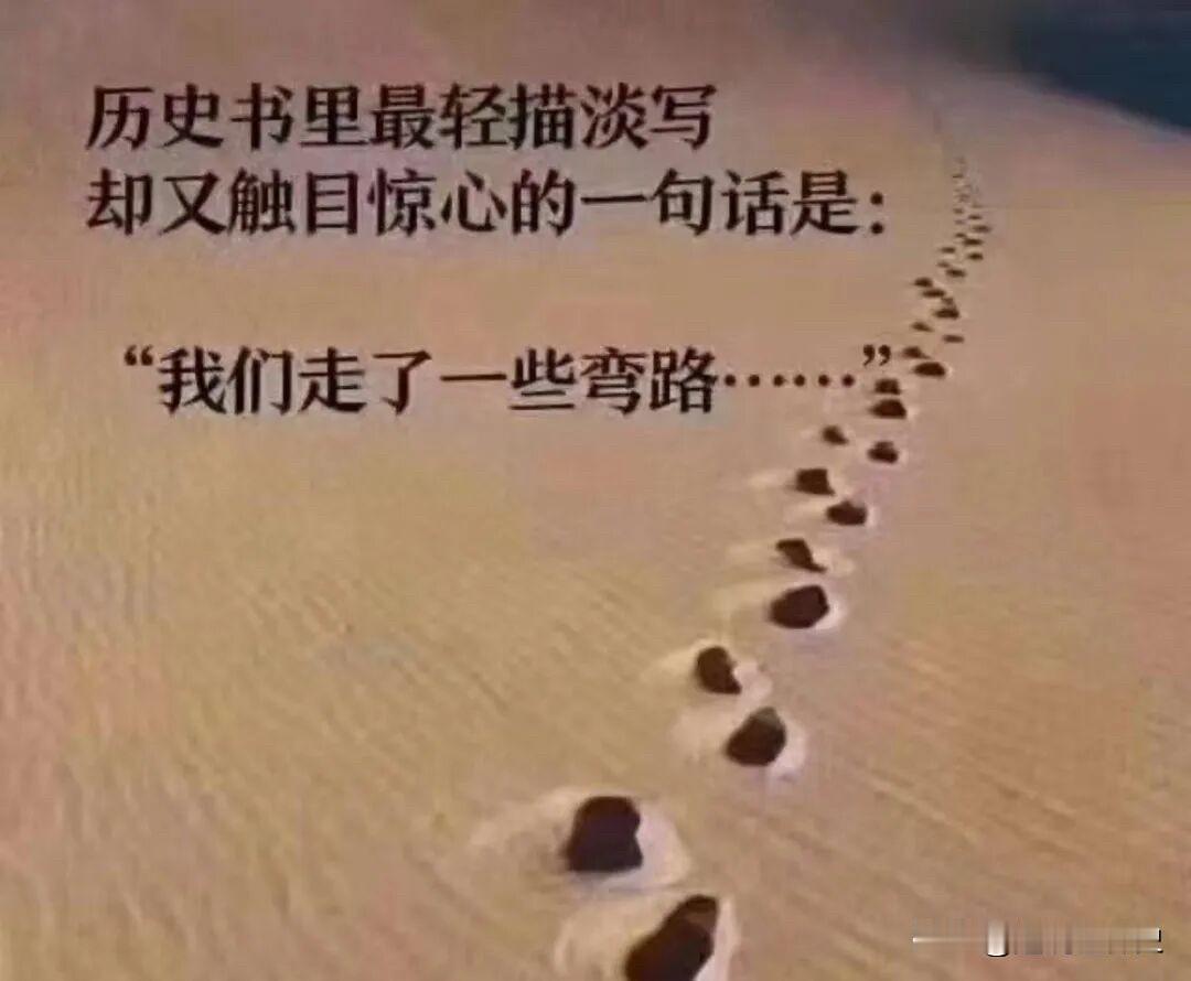 历史书里最轻描淡写却又触目惊心的一句话是：
“我们走了一些弯路⋯•