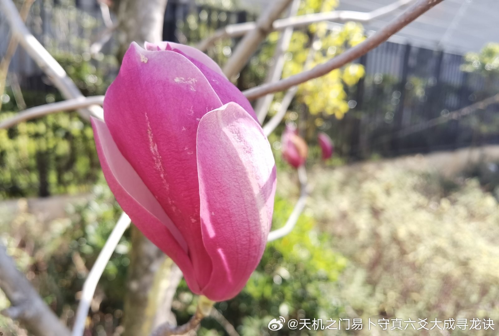 恋爱遭遇第三者干扰，成功斩断外缘修复感情；年轻缘主与对象相恋多年，近期发现对方身