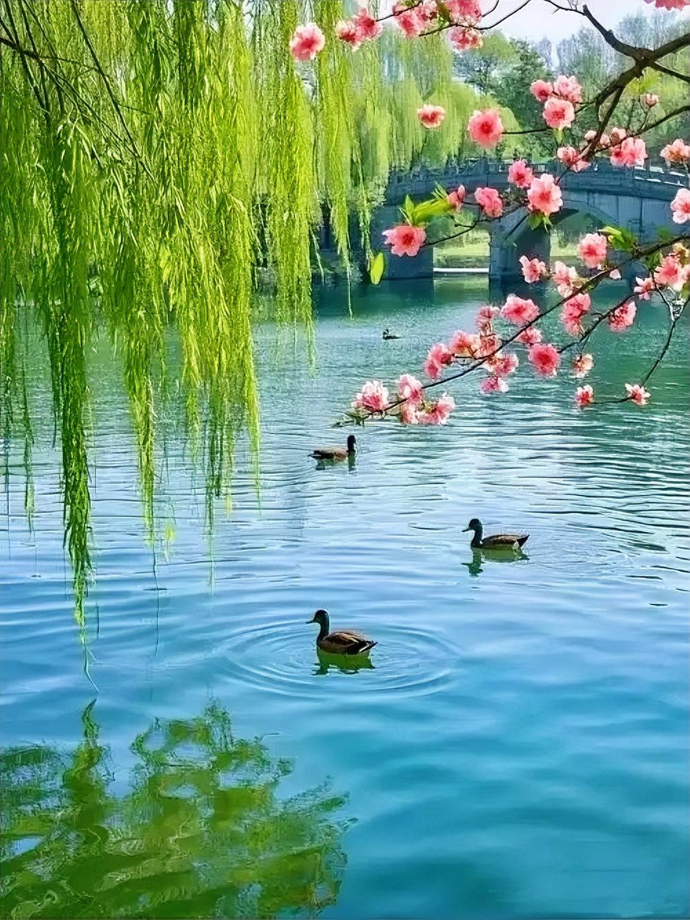 细雨悠悠敲旧瓦；
和风绵绵拂新柳。