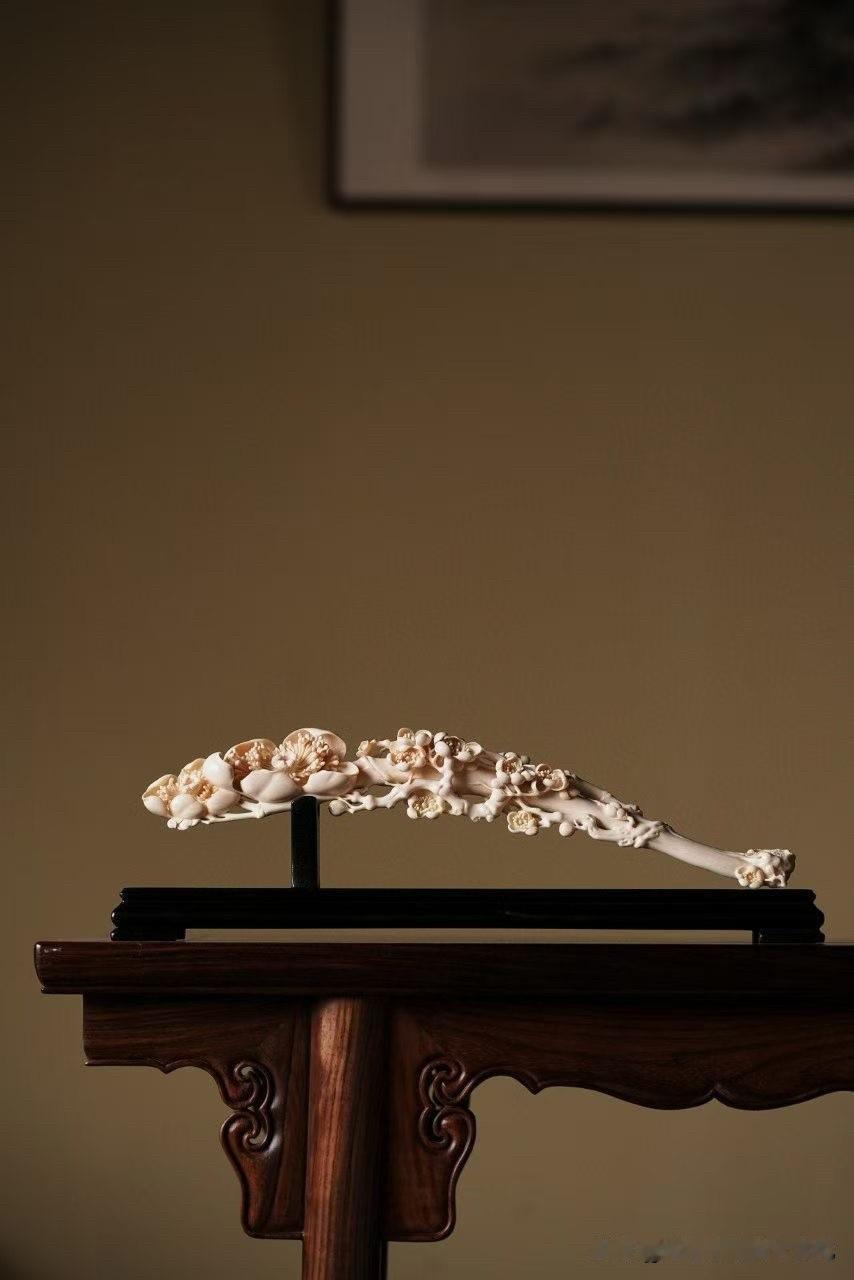 猛犸｜花开富贵

这一类作品，不是“摆”，
是把一段春天，留在案头。

花枝横展