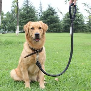 栓日本的狗链子断了！

第二次世界大战后，战败的日本就成了美国人养的一条狗，被美