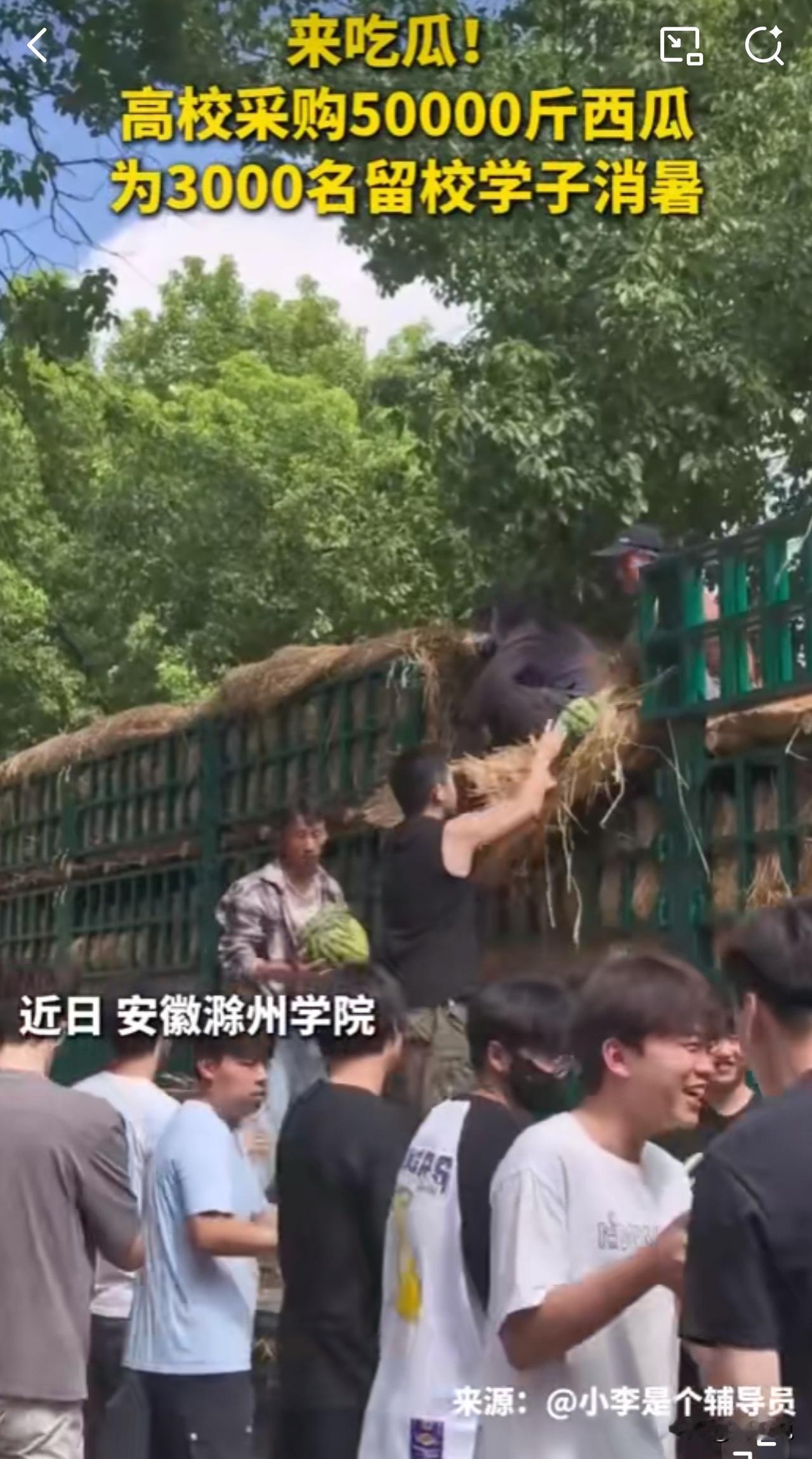 #MCN双量进阶计划#“太羡慕了！”近日，安徽滁州，一高校为3000名暑假留校学