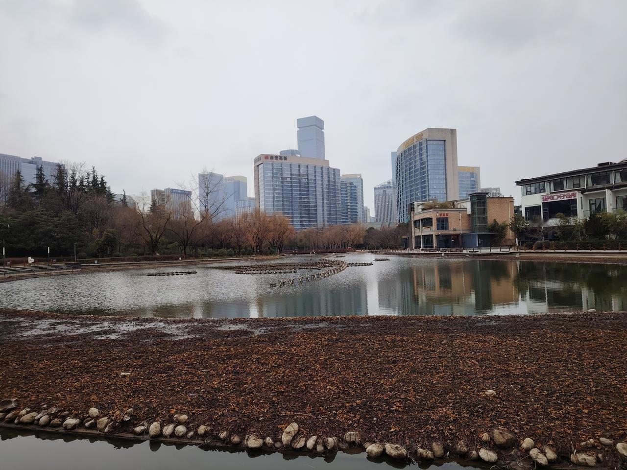 “去留两昆仑”，此语虽豪迈，却并不适用于此处。我着实不知该如何评判这去与留，那就