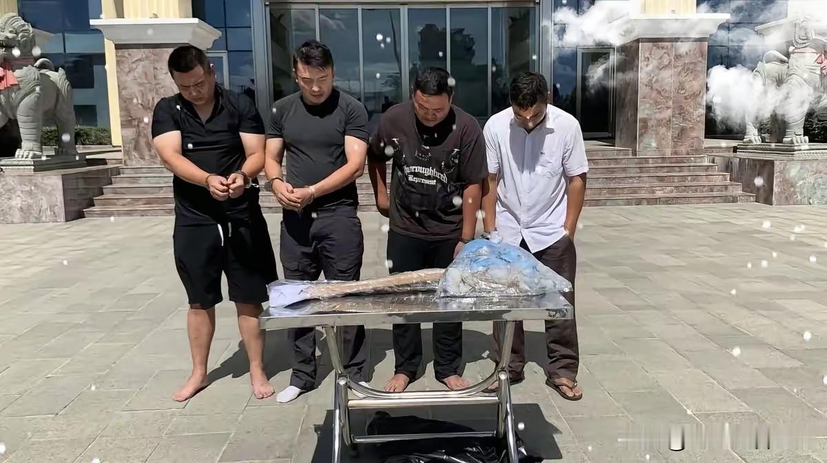 这回把手伸向当地人了？


2026年6月1日小柬警方破获了一起绑架勒索杀人案，