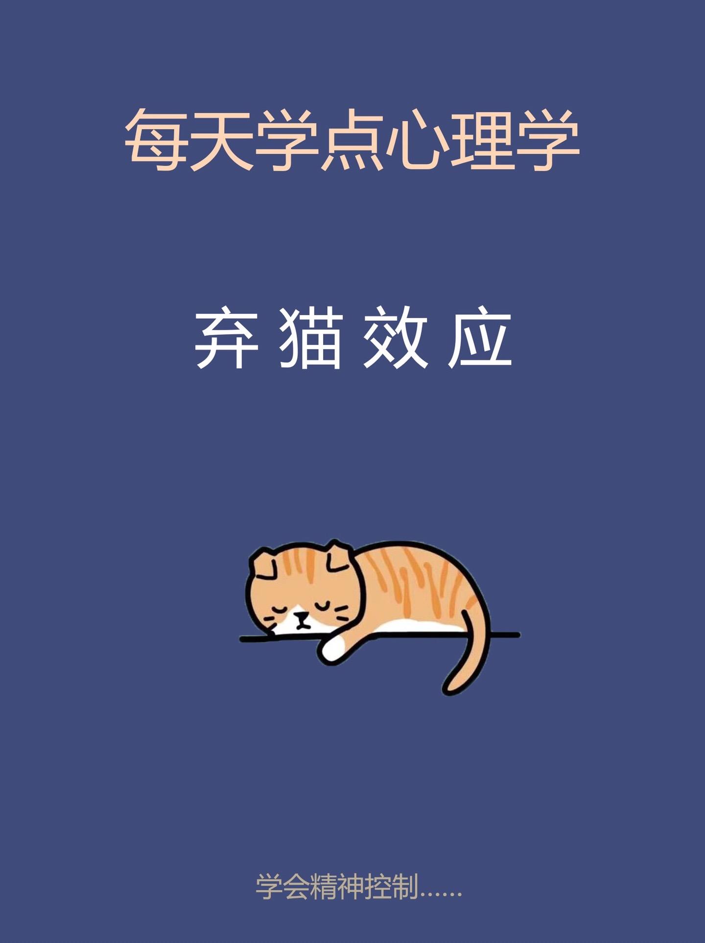 心理学知识-弃猫效应。知识科普知识科普