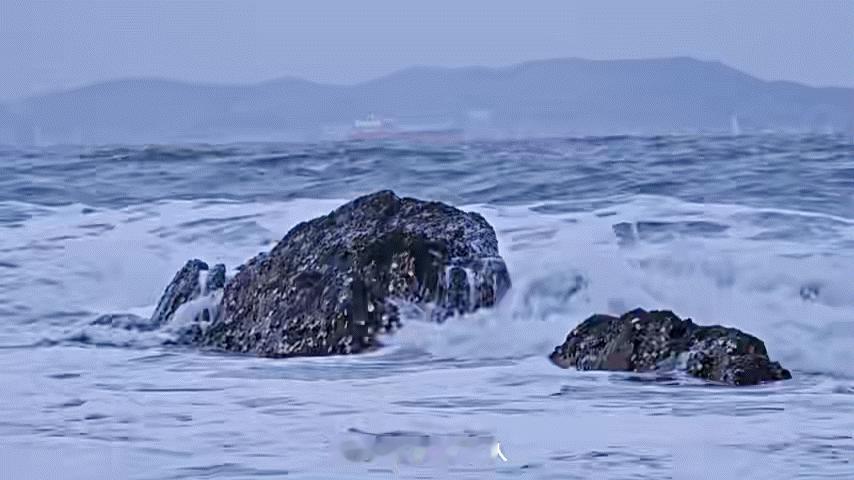烟台的浪漫是种过日子的浪漫   冬季到烟台看雪 看到大冰给烟台拍的家乡宣传片，我