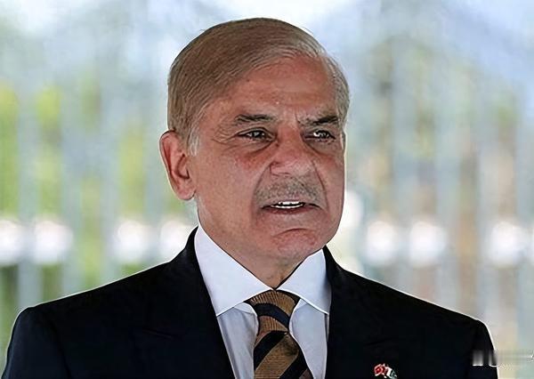 巴铁出兵沙特亮中式装备，中方硬气回击，美国中东霸权终落幕
 
2026年4月，中