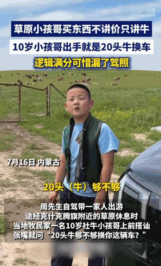 一个十岁的草原孩子,张口就要用20头牛换游客的车,还不忘追问一句“能开到三亚吗”