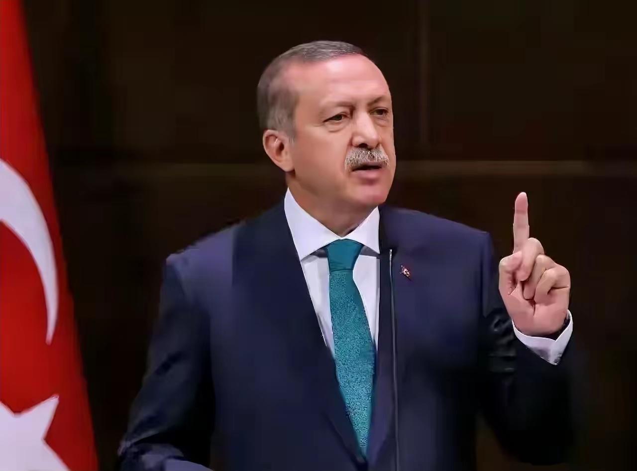 美国海盗为什么不追“贝拉1号”油轮了？因为那是土耳其的。如果惹恼了埃尔多安的爆脾