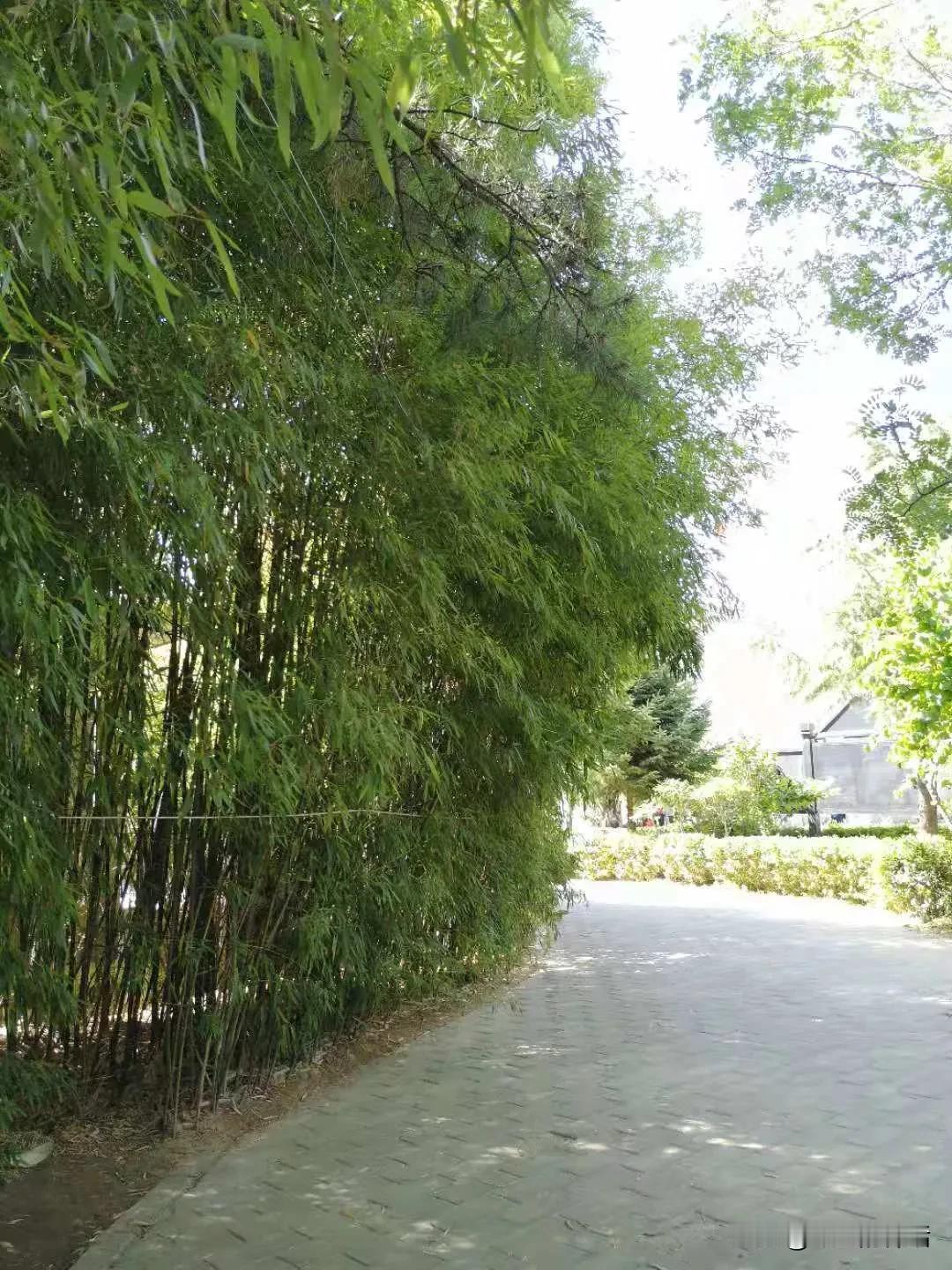 我在值班，看你们参观
#今天我值班👌# #我在上班看你们# 
今天我和女儿都值