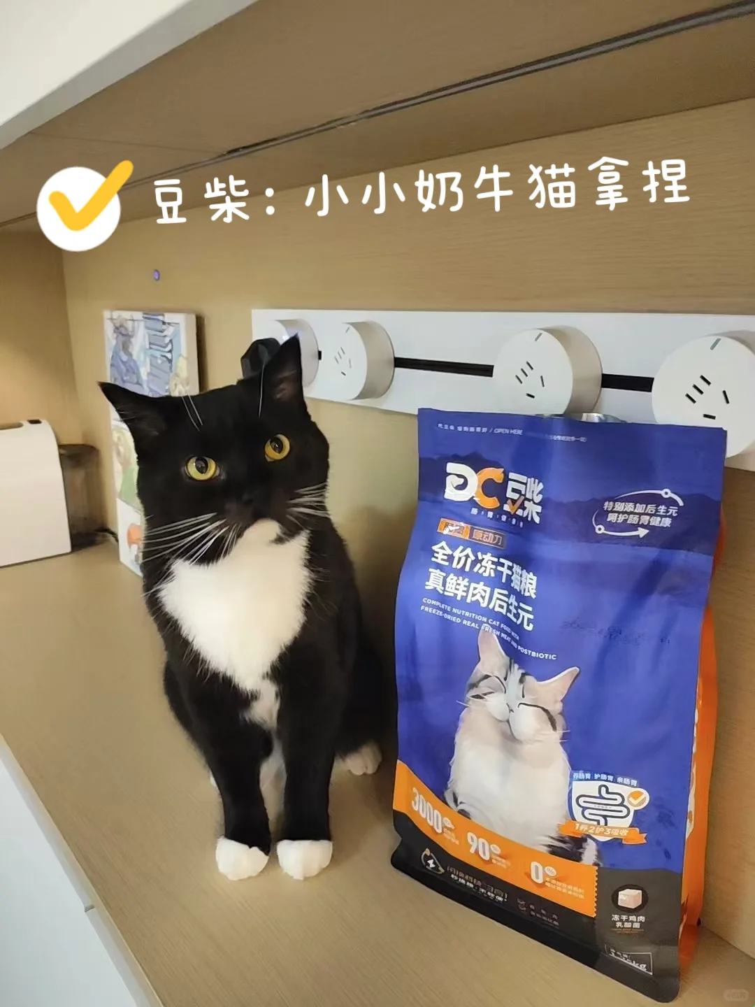 小小奶牛猫拿下│买过很多才敢说的猫粮推荐