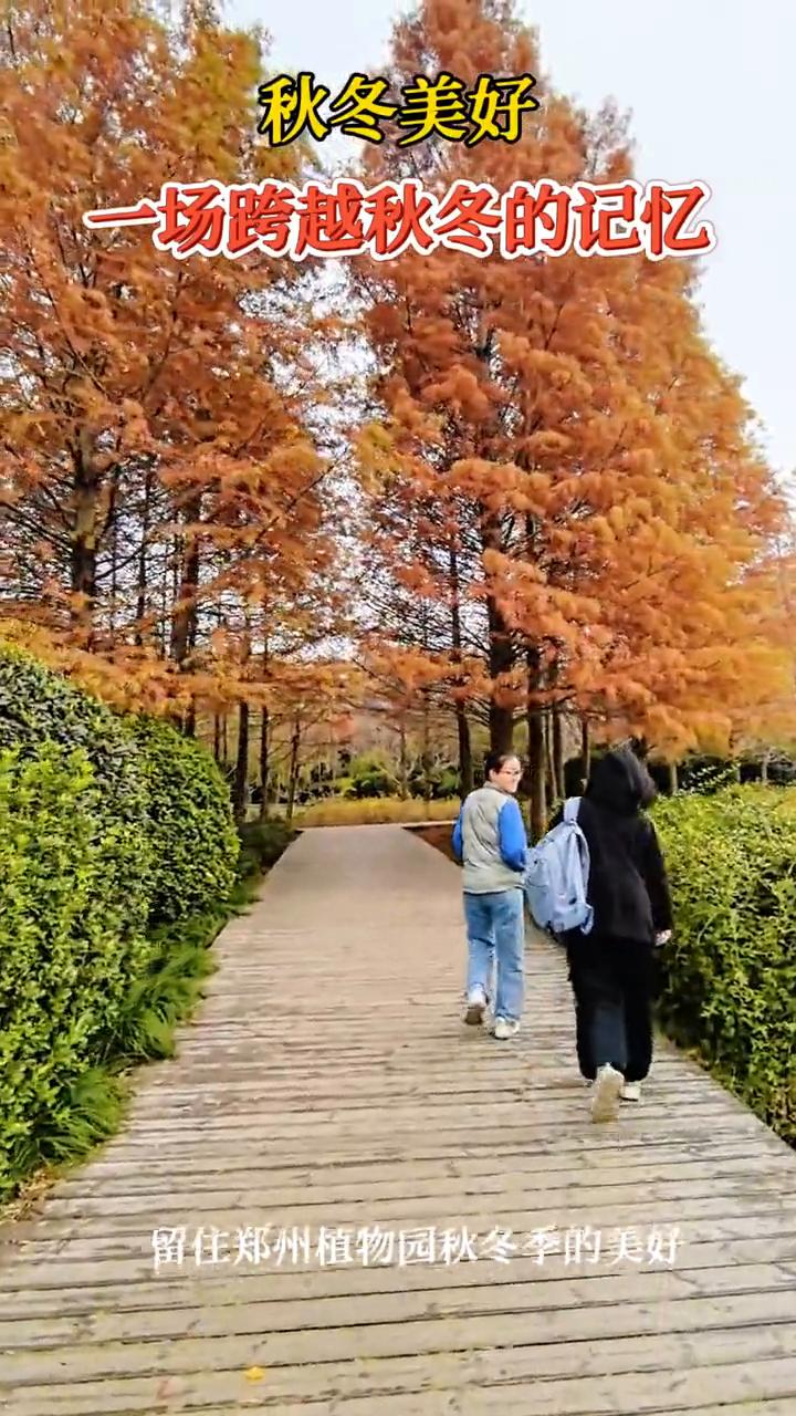 秋冬美好。
一场跨越秋冬的记忆，留住郑州植物园秋冬季的美好。