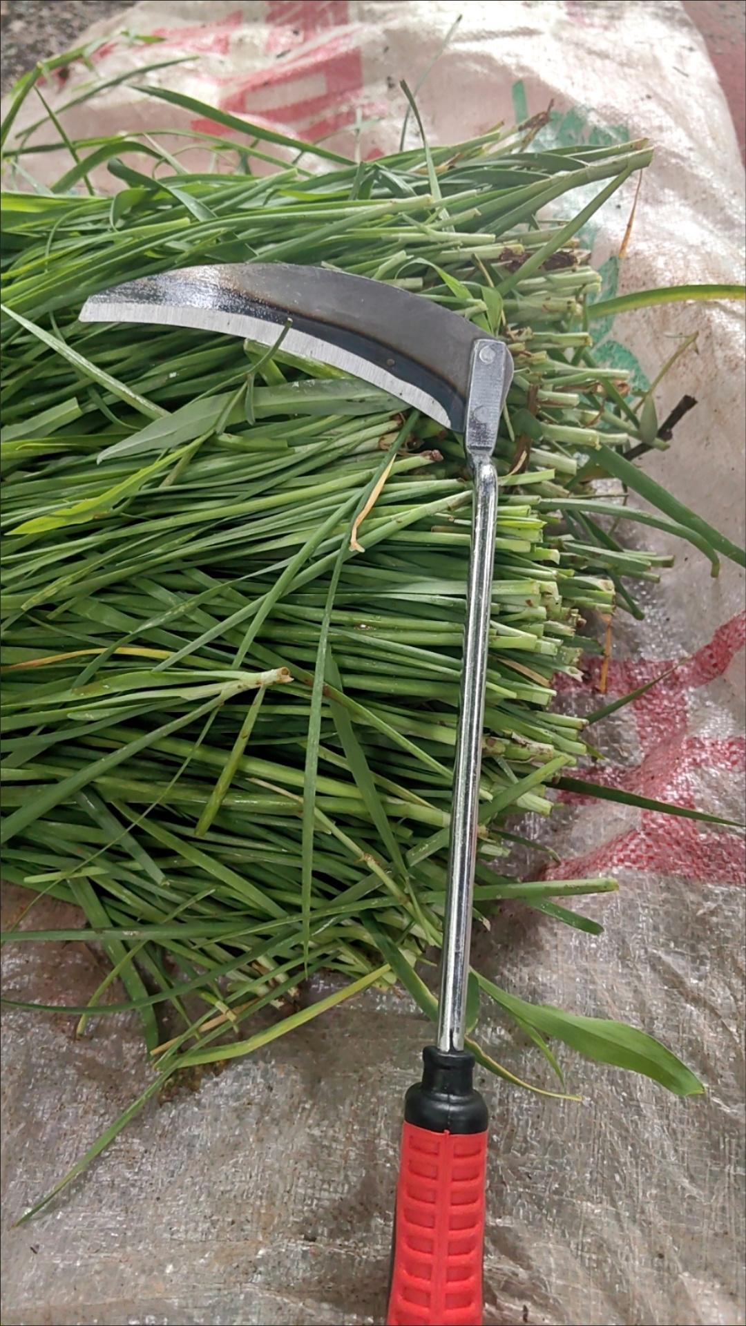 你觉得现在适合入场A股市场吗我是韭菜，18年到现在亏了17万，现在还留了一点在那