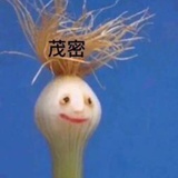 小燃派车